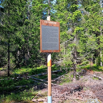 Månedsposten i juni